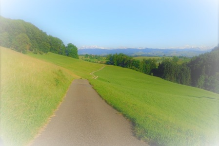 Medical Jobs Schweiz: Ihr Weg in die Schweiz